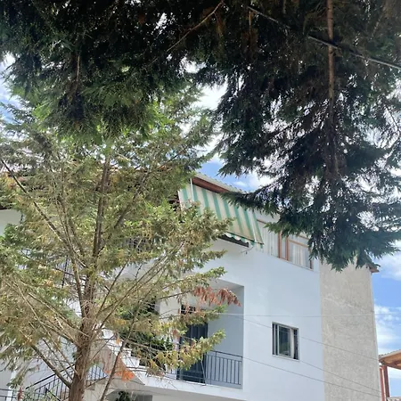 Freskia 3* Saranda