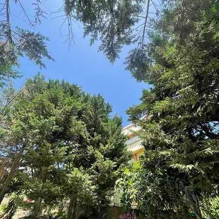 Hotel Freskia Saranda